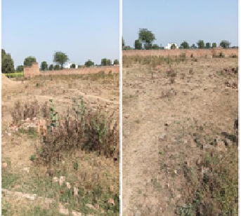 RAHMAT AGRO COMPANT 28262